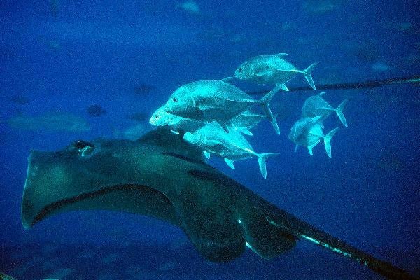 Palma Aquarium