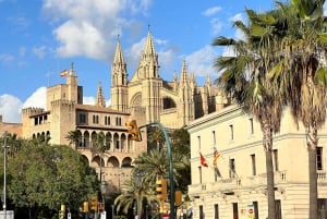 Palma auténticamente. Tour de la ciudad con aperitivos y vino