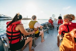Palma Bay: 1-Hour Speedboat Adventure