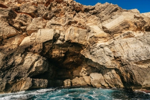 Bucht von Palma: 1-stündiges Speedboat-Abenteuer