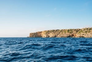 Baía de Palma: Aventura de 1 hora em lancha rápida