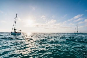 Palma-bugten: 1-times speedbådseventyr