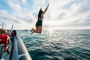 Bahía de Palma: Aventura en lancha rápida de 1 hora