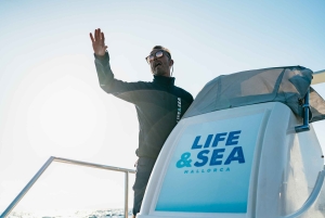 Bahía de Palma: Aventura en lancha rápida de 1 hora