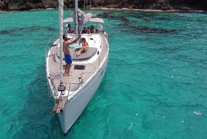 PALMAN LAHTI : 4 TUNNIN YKSITYINEN RETKI PURJEVENEELLÄ