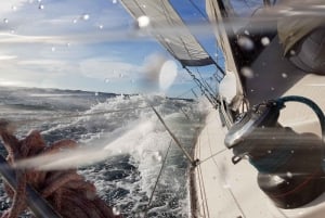 Baai van Palma: Rondvaart met mallorquin tapas & drankjes