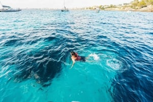 Die Bucht von Palma: Entdeckungstour mit dem Schnellboot