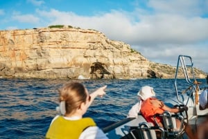 Die Bucht von Palma: Entdeckungstour mit dem Schnellboot
