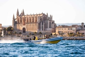 Palma-bugten: Opdagelsestur med speedbåd