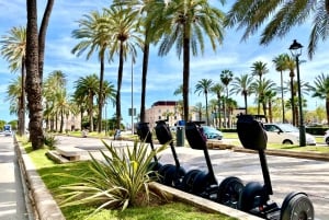 Palma: Best of Palma 90 min Segway Tour