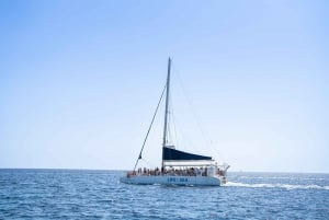 Palma: Crucero en catamarán con baño y snorkel
