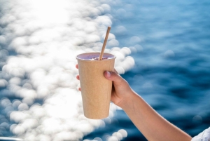 Palma: Crociera in catamarano con nuoto e snorkeling