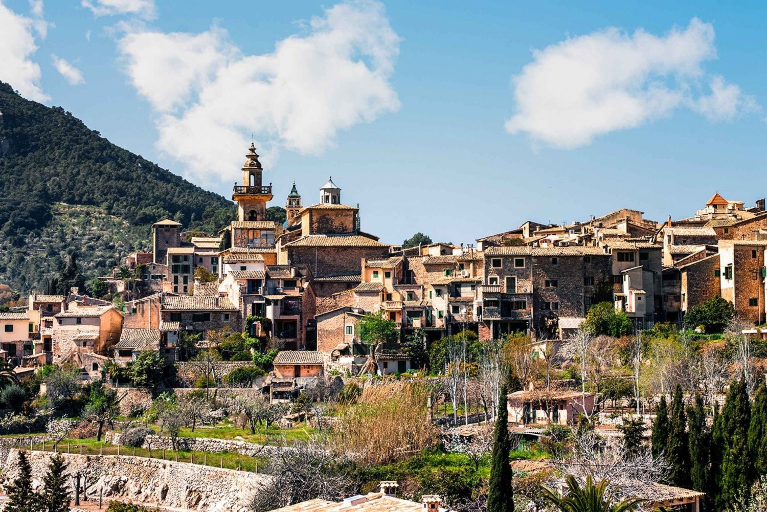 Palma, katedralen og Valldemossa: Guidet vandretur