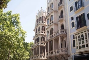 Palma, Cathedral & Valldemossa: Guided walking Tour