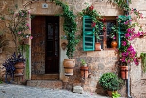 Palma, Cathedral & Valldemossa: Guided walking Tour