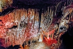 Palma: Caves of Genova Admission and Guided Small-Group Tour