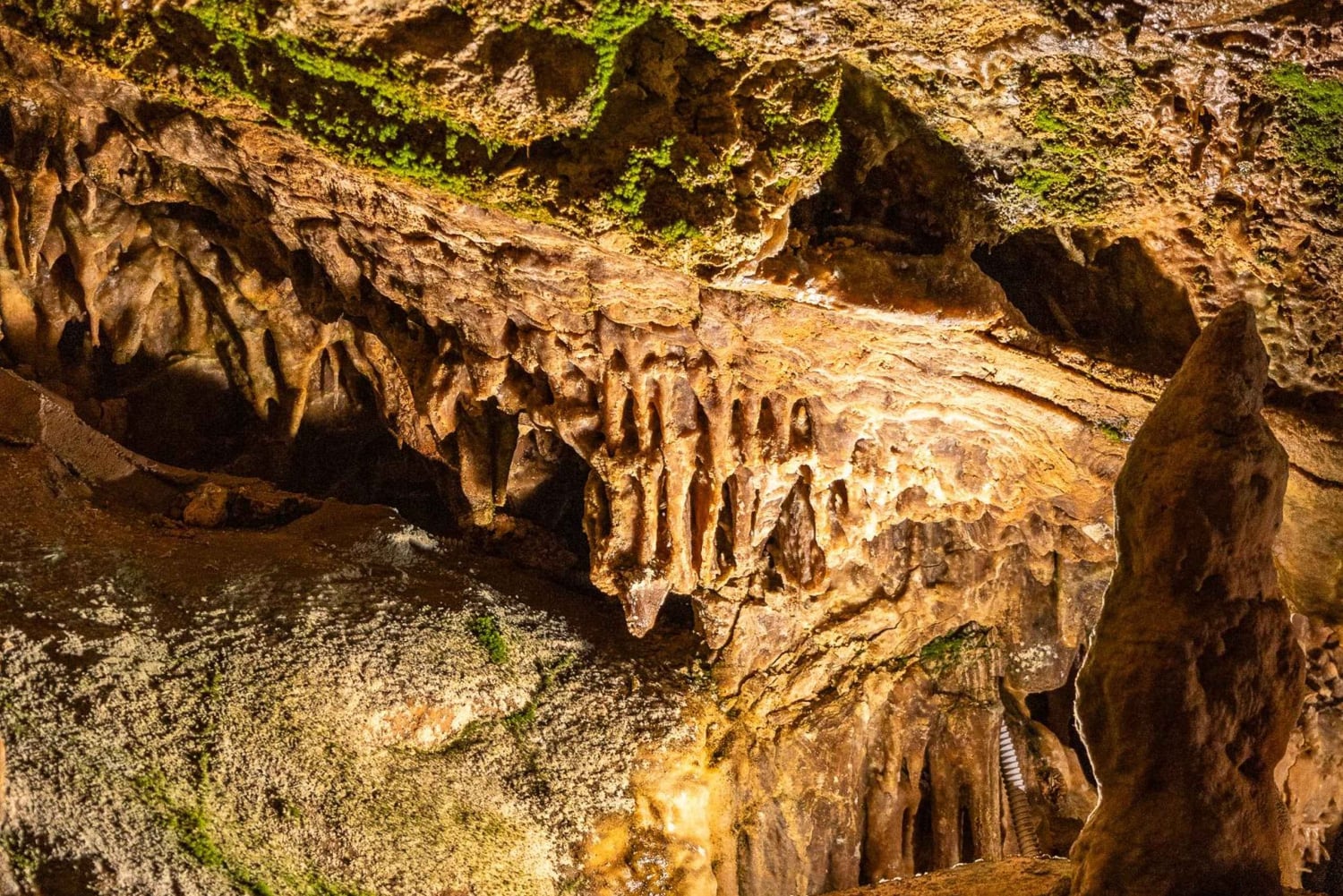 Palma: Grotten van Genova Ticket & digitale audiogids