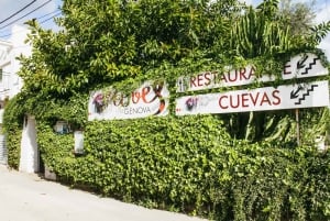 Palma: Grotten van Genova Ticket & digitale audiogids