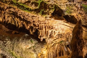 Palma: Grotten van Genova Ticket & digitale audiogids