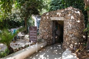 Palma: Grotten van Genova Ticket & digitale audiogids