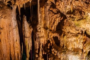 Palma: Caves of Genova Ticket & Digital Informational Video