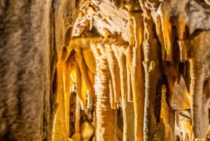 Palma: Caves of Genova Ticket & Digital Informational Video