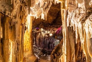 Palma: Caves of Genova Ticket & Digital Informational Video