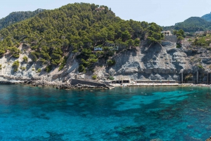 Palma: City Highlights Walking Tour with Optional Transfer