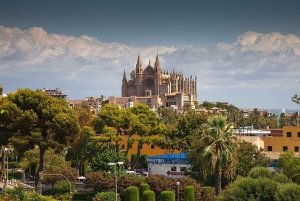 Palma: City Tour with an Author