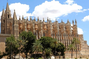 Palma: City Tour with an Author