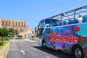 Mallorca: Panoramic route through the ledges & Port Andratx