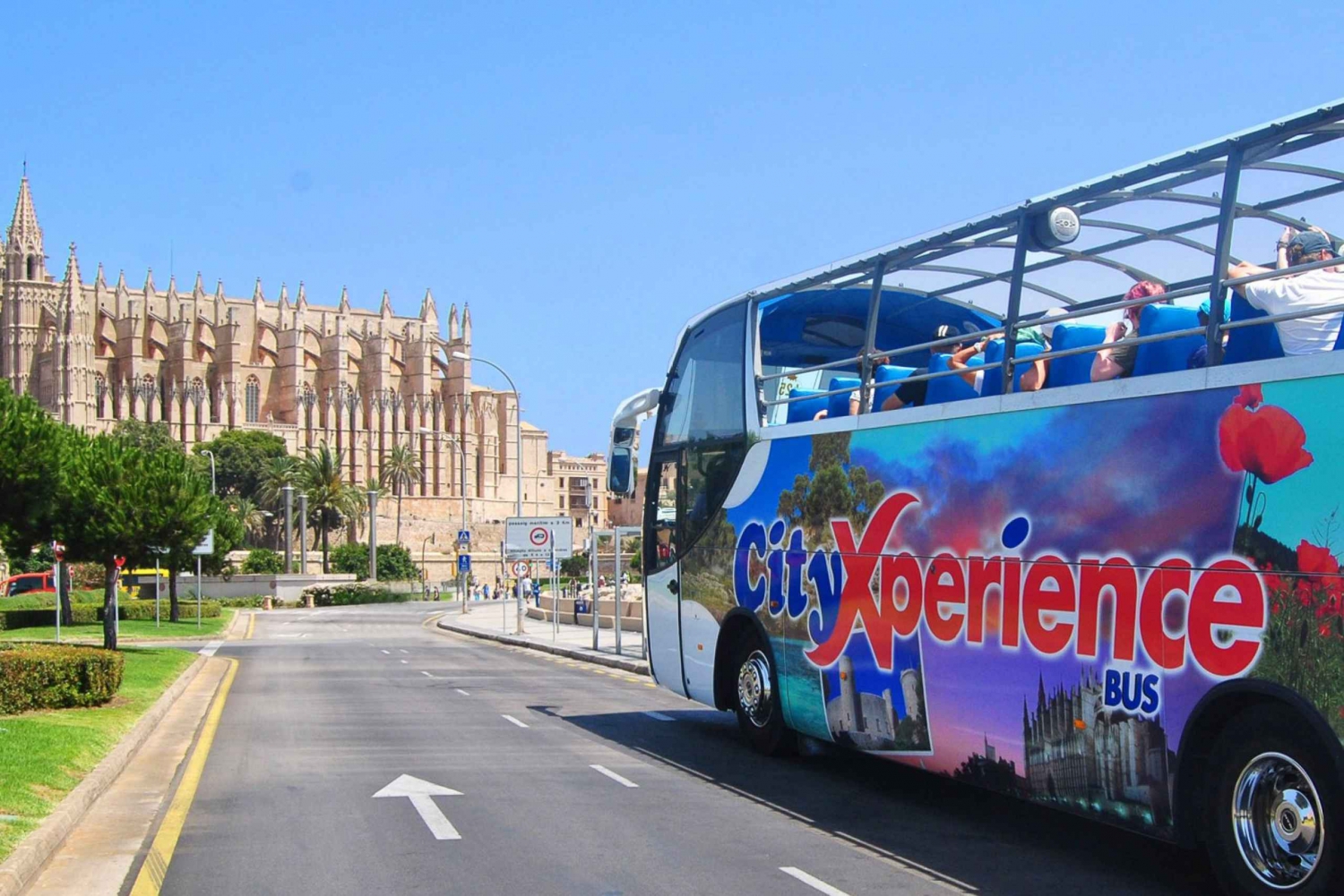 Palma: Customizable City Tour by Cabrio Bus w/ South Pickup