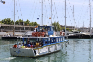 Palma de Mallorca: 1-Hour Sightseeing Boat Tour