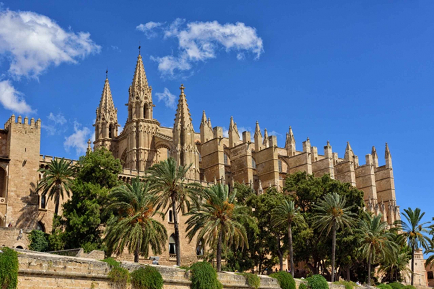 Palma de Mallorca: 1-Hour Guided Walking Tour
