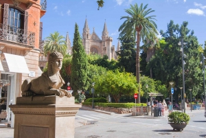 Palma de Mallorca: 1-Hour Guided Walking Tour