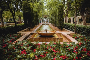 Palma de Mallorca: 1-Hour Guided Walking Tour