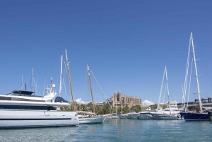 Palma de Mallorca: 1-Hour Sightseeing Boat Tour