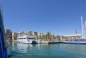 Palma de Mallorca: 1-Hour Sightseeing Boat Tour