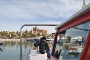 Palma de Mallorca: 1-Hour Sightseeing Boat Tour
