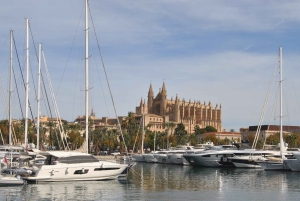 Palma de Mallorca: 1-Hour Sightseeing Boat Tour