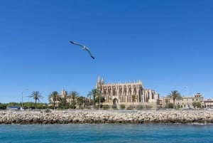 Palma de Majorque : croisière touristique d'1 h