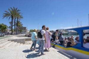 Palma de Mallorca: 1-tunnin kaupunkikierros veneellä