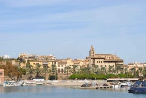 Palma de Majorque : croisière touristique d'1 h