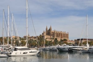 Palma de 1-times sightseeing med båd
