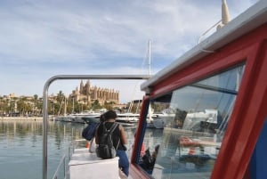 Palma de Mallorca: 1 timmes båttur med sightseeing