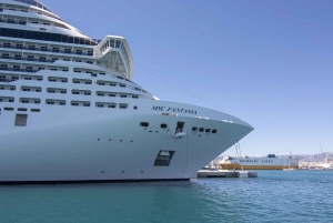 Palma de Mallorca: 1-Hour Sightseeing Boat Tour