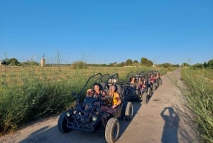Palma de Mallorca : Aventure en buggy 2 places