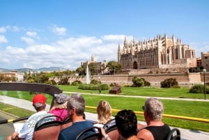 Palma de Majorque : Bus en arrêts à arrêts multiples à Mallorca : visite touristique en bus à arrêts multiples