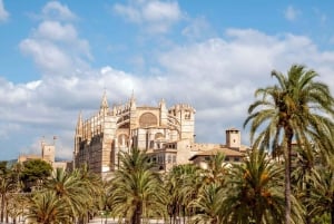 Palma de Mallorca: 24-Hour Hop-On Hop-Off Bus Tour