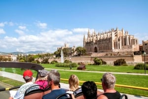 Palma de Mallorca: 24 or 48-Hour Hop-On Hop-Off Bus Tour
